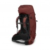 Osprey Aether 65l S/M expedicni turisticky batohy deep acorn 2