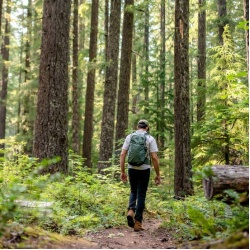 Osprey Sportlite 25l M L lehky minimalisticky turisticky outdoorovy batoh pine leaf 6