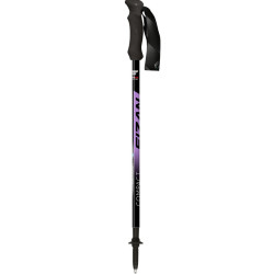 Fizan NW Speed fialova violet dvoudilne nordic walking hole bez odpruzeni 4